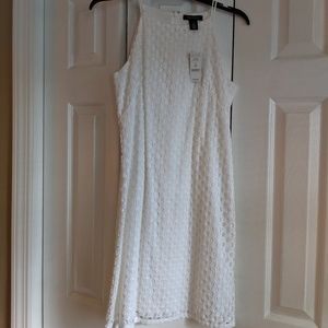 White House Black Market Dress NWT